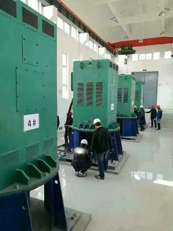 苏家屯某污水处理厂使用我厂的立式高压电机安装现场